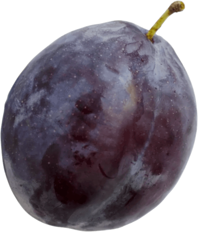 plum
